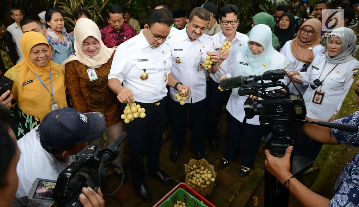 Gubernur DKI Jakarta Anies Baswedan ikut menghadiri acara panen buah dukuh dan salak di Cagar Buah Condet, Kramatjati, Kamis (14/3). Anies meminta masyarakat untuk menjadikan kawasan tersebut sebagai lokasi wisata. (merdeka.com/Imam Buhori)
