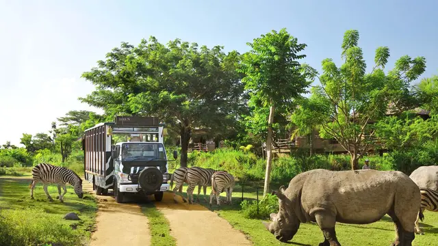 Bali Safari & Marine Park