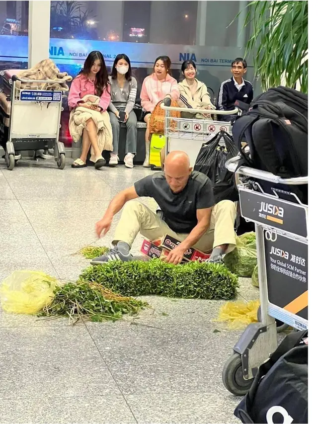 Viral Bule di Bandara Vietnam Bersihkan Kangkung saat Pesawat Delay, Ketimbang Bengong