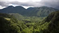 Pemandangan hijau lereng Lawu. (foto: Liputan6.com / erlinda puspita wrdhani)