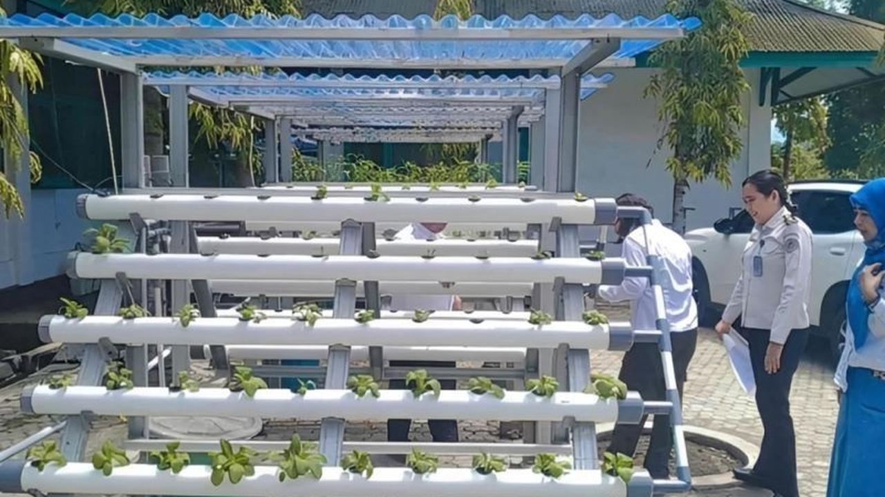 Kolaborasi LPKA Palu DPKP Perkuat Pembinaan Anak Binaan Lewat Hidroponik Modern