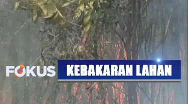 Minimnya sumber air dan kencangnya hembusan air membuat petugas kewalahan memadamkan api.