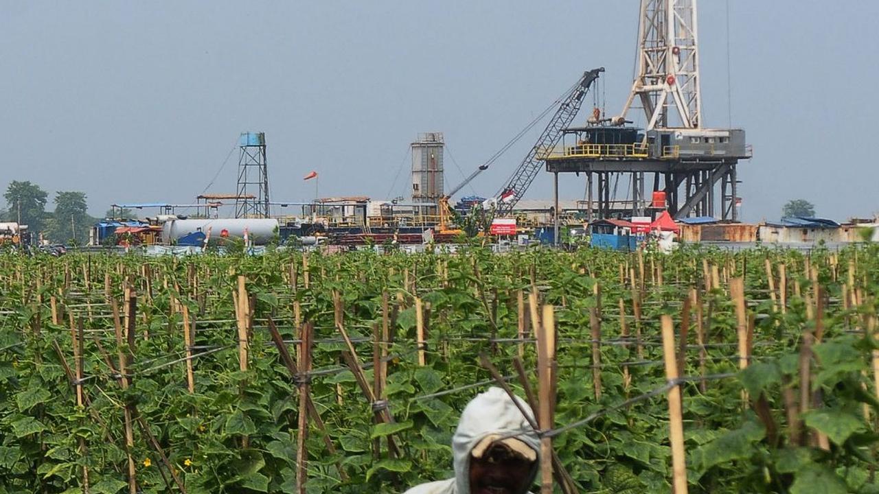 Selama periode Januari hingga akhir November 2023, Pertamina EP menyumbang produksi minyak bumi nasional sebesar 69.624 BOPD, dan gas bumi sebesar 838,6 MMSCFD.
