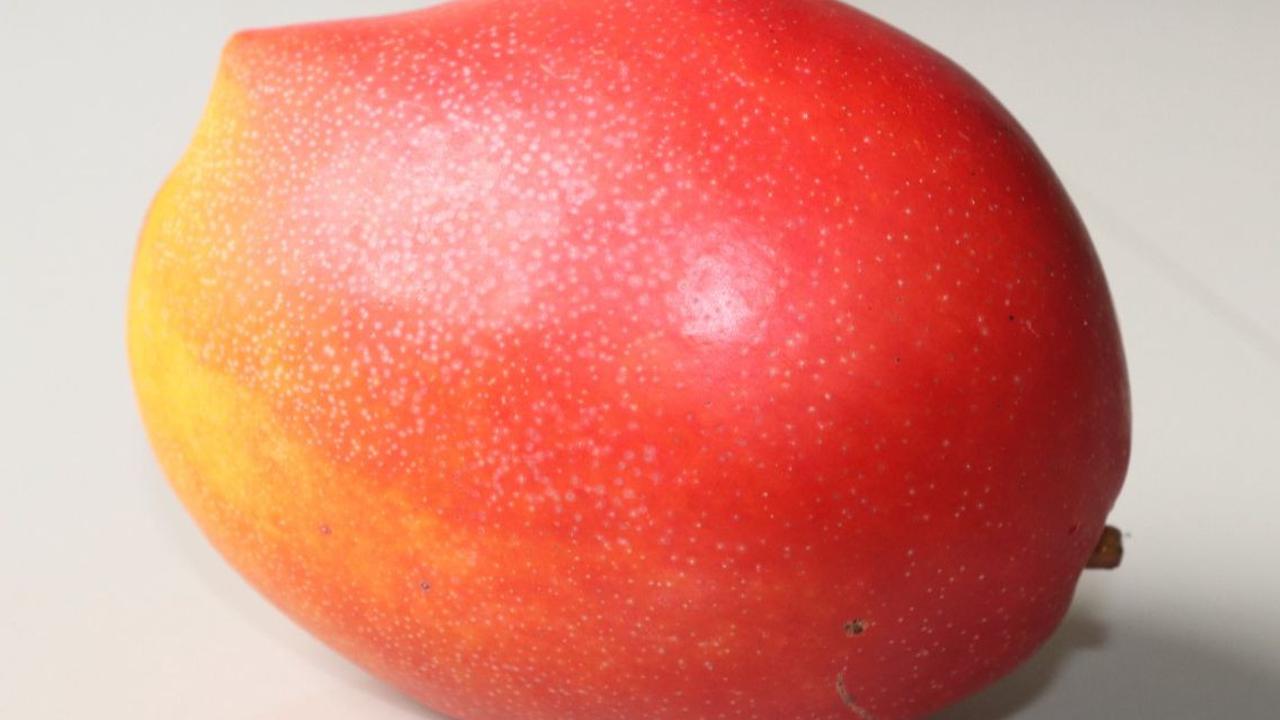 Mangga Arum Merah