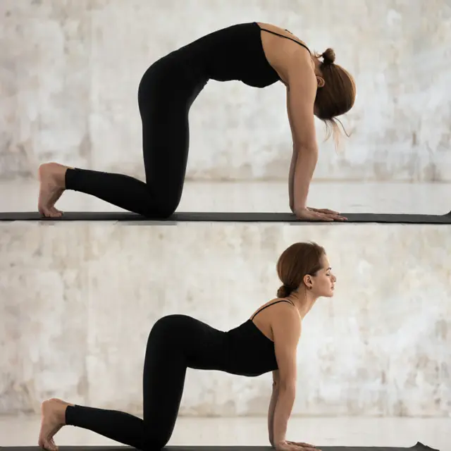 Cat cow stretching