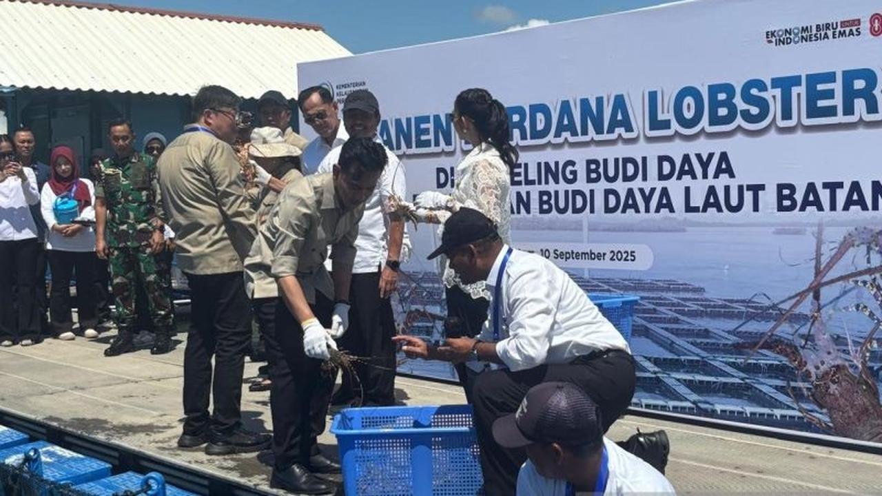 Gibran Desak Aturan Anti Penyelundupan Benih Lobster, Selamatkan Kekayaan Laut Indonesia yang Fantastis