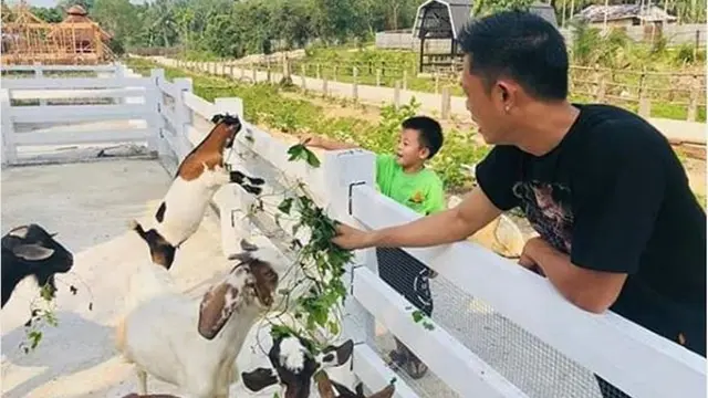 Asia Farm Pekanbaru