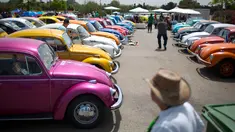 Volkswagen Beetle dipamerkan dalam ajang pertemuan tahunan "Beetle club" di Yakum, Israel tengah (21/4). Volkswagen Beetle, atau Volkswagen Tipe 1, adalah sebuah mobil kecil yang diproduksi oleh Volkswagen. (AP Photo / Oded Balilty)