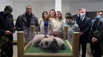 Pemain bola Prancis Kylian Mbappe (kedua kiri) dan juara loncat indah China Zhang Jiaqi (kedua kanan) berpose dengan anak panda di Kebun Binatang Beauval, Saint-Aignan-sur-Cher, Prancis, 18 November 2021. Mbappe dan Jiaqi menjadi wali baptis anak panda, Yuandudu dan Huanlili. (GUILLAUME SOUVANT/AFP)