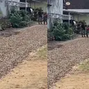 Viral Warga di Lampung Timur Tambal Jalan Rusak Pakai Cangkang Kerang