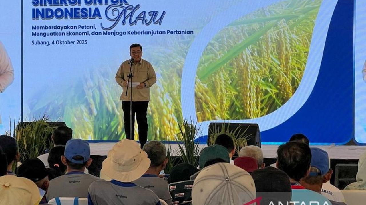 Tahukah Anda? Swasembada Beras Jadi Prioritas Utama Pembangunan Nasional, Bappenas Ungkap Target Presiden Prabowo