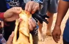 Satu Kalimantan Geger, Pria Ini Temukan Patung Emas di Area Perkebunan Sawit