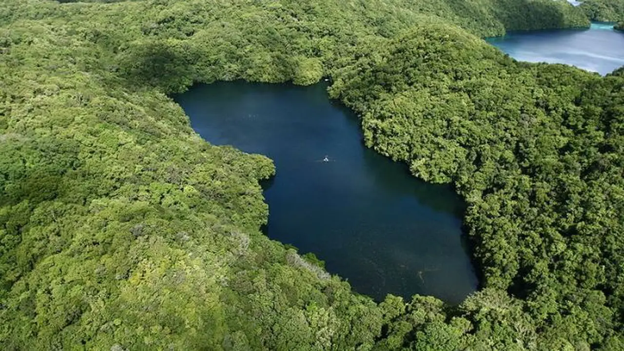 Danau Kakaban