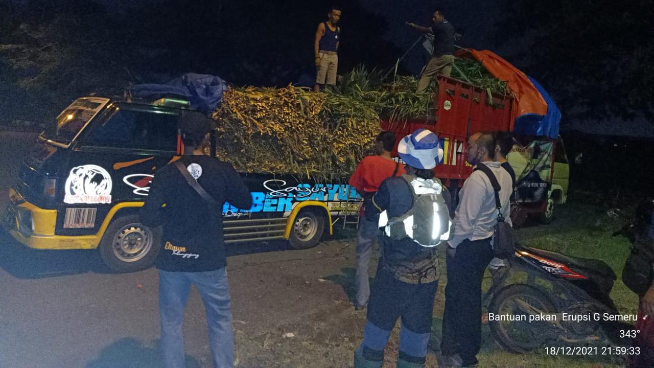 Komunitas Peternak Kambing Etawas "Mas Kumambang" Kota Kediri, Jawa Timur mengirimkan bantuan pakan ternak