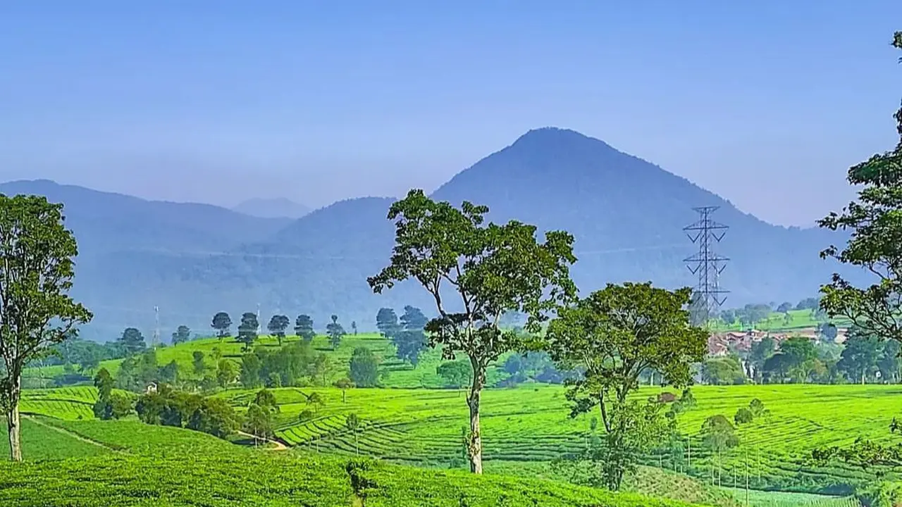 Pemandangan Gunung Tilu