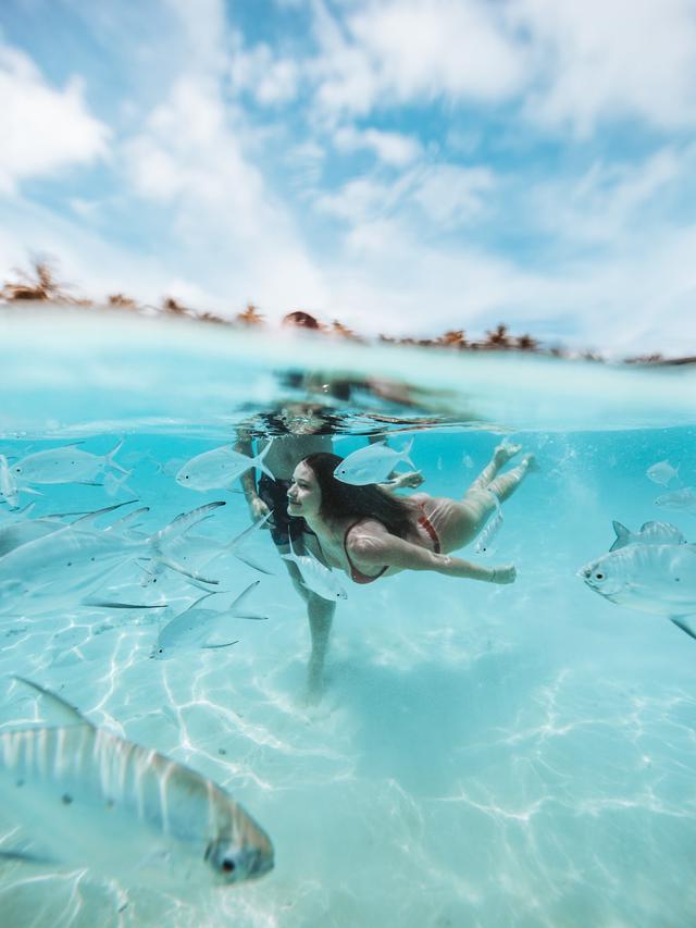 Ilustrasi snorkeling