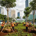 375 Pohon Instan Ditanam di Jakarta Pusat, Jaga Ruang Terbuka Hijau
