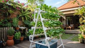 Cara Membuat Kebun Sawi Hidroponik Mini untuk Pemula, Tak Perlu Tanah dan Lahan Luas