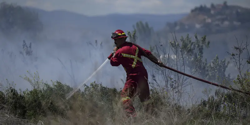 Provinsi Quebec di Kanada mencari dukungan internasional untuk memadamkan kebakaran hutan