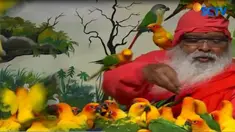 Selain Kakaktua, sebanyak 468 jenis Burung eksotis seperti Beo, Parkit dan Nuri juga menghuni Taman Burung ini.