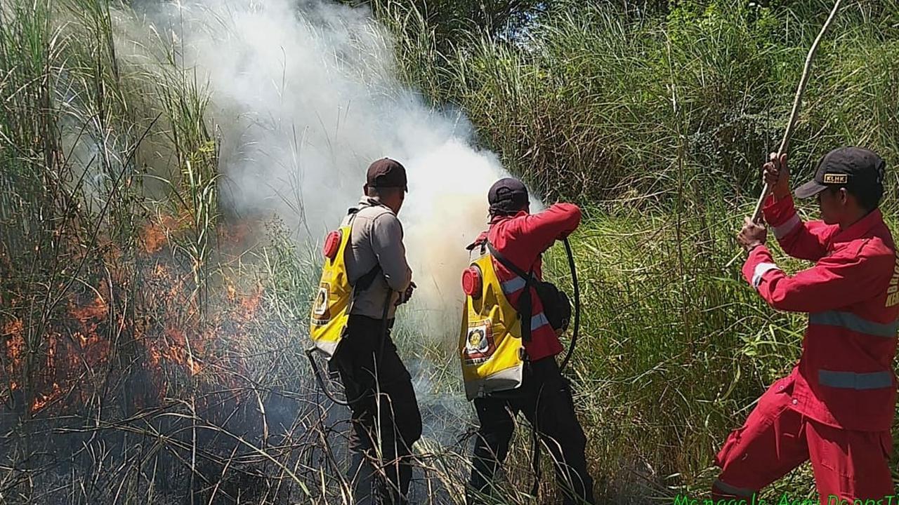 Pemadaman kebakaran hutan di wilayah Kabupaten Bombana, Senin (5/8/2019).(Liputan6.com/Ahmad Akbar Fua)