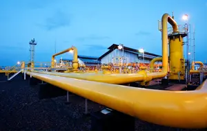 PT PGN Tbk akan fokus utilisasi gas bumi untuk domestik dengan mengembangkan dan mengombinasikan infrastruktur pipa dan beyond pipeline. (Dok PGN)