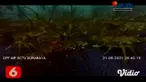 Nelayan di perairan Pantai Grand Watu Dodol, Banyuwangi, mengembangkan usaha budi daya lobster keramba dasar laut. Model keramba dasar ini bisa menjadi alternatif budi daya lobster di daerah perairan.