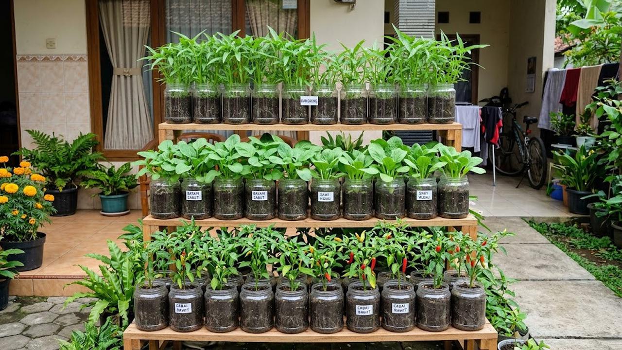 8 Cara Membuat Kebun Sayur Vertikal dari Toples Bekas, Ide Bercocok Tanam Minimalis