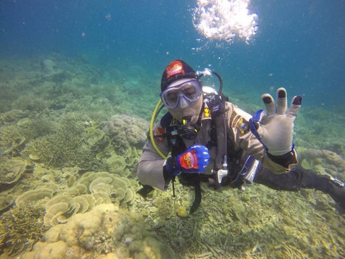 Aksi polisi peringati Hari Bhayangkara Ke-69 di bawah laut