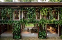 Bikin Suasana Sejuk, 10 Desain Depan Rumah Minimalis dengan Tanaman Merambat