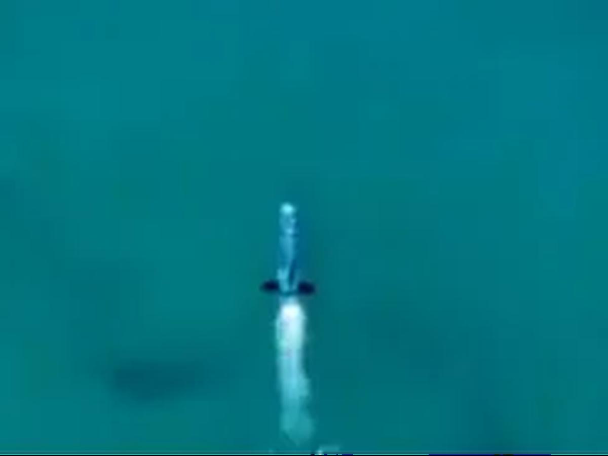 <b>Torpedo Al-Asif</b>