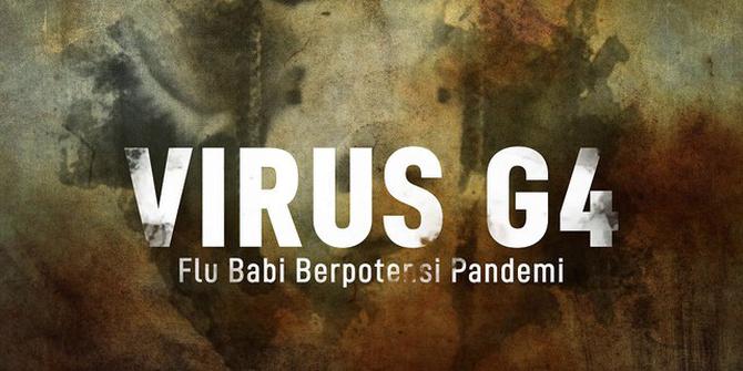 VIDEOGRAFIS: Virus G4, Flu Babi Berpotensi Pandemi