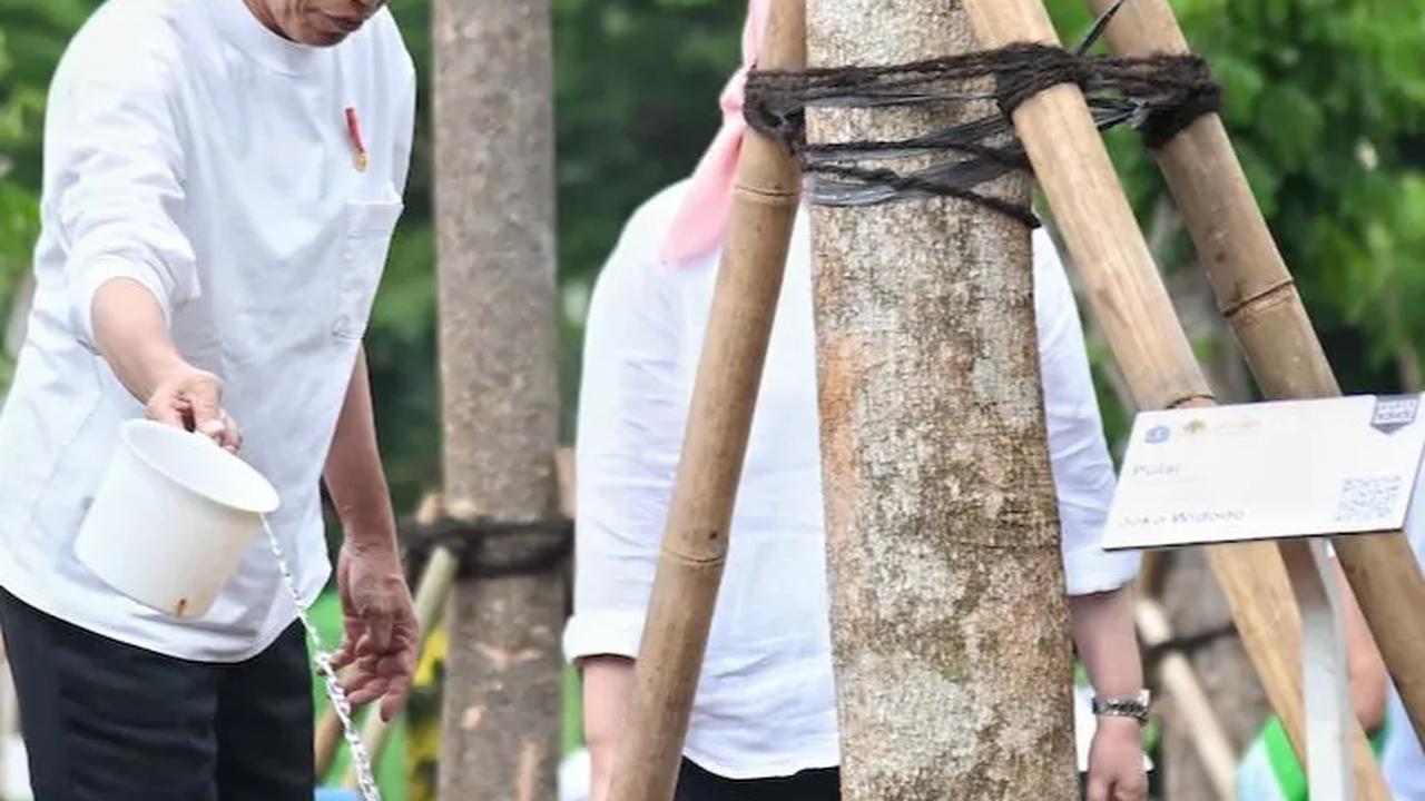 Begini Langkah Nyata Jokowi Atasi Perubahan Iklim