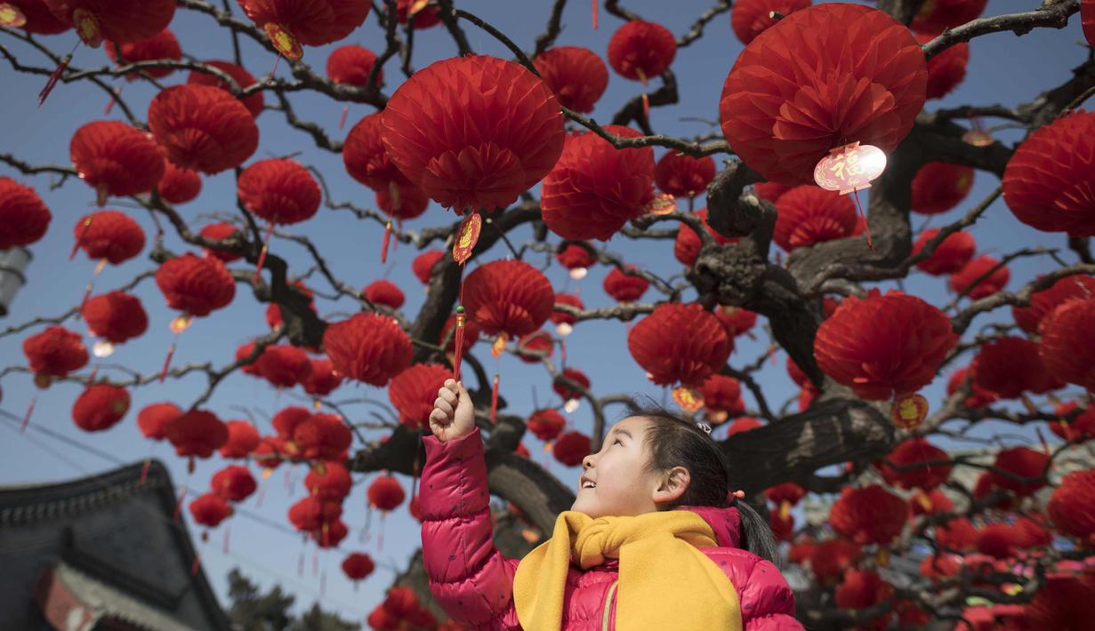 Seorang anak memegang sebuah lampion yang menempel di pohon di pintu masuk Taman Ditan di Beijing (1/2). Tahun Baru Imlek jatuh pada 16 Februari tahun ini, dengan perayaan yang berlangsung selama seminggu di China. (AFP Photo/Nicolas Asfouri)