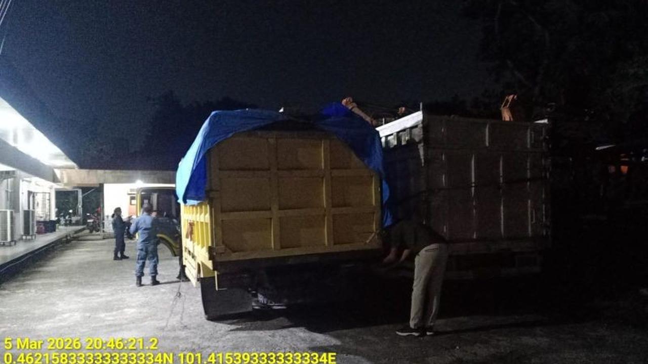 BB KSDA Riau Gagalkan Penyelundupan Kayu Ilegal di Suaka Margasatwa Kerumutan