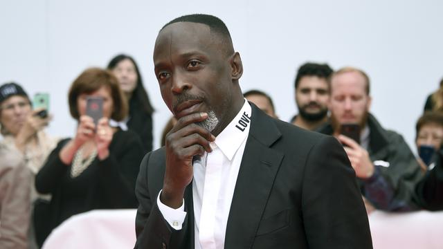 Michael K Williams. ( Evan Agostini/Invision/AP, File)