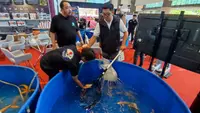 Ribuan Ikan Koi Adu Cantik di BRIN, Ajang Internasional Meriahkan Bogor