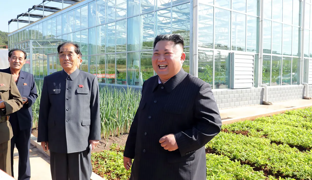 Gambar tak bertanggal yang dirilis pada 9 Oktober 2019, pemimpin Korea Utara, Kim Jong-un mengunjungi ladang pertanian No. 1116 dari KPA Unit 810 di lokasi yang dirahasiakan. Ini merupakan penampilan perdana Kim Jong-un sejak perundingan nuklir dengan AS tidak mencapai titik temu. (KCNA VIA KNS/AFP)