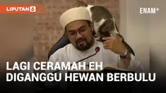 Viral, Kucing Tidur di Pundak Ustaz saat Ceramah