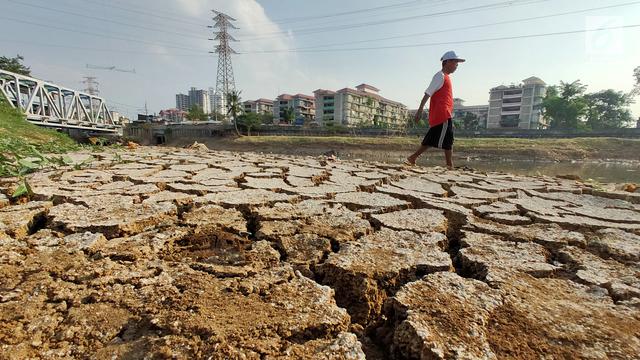 Musim Kemarau, Tanah di Bantaran Kanal Barat Retak