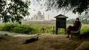 Biksu Buddha duduk di seberang Taj Mahal dari tepi sungai Yamuna di Agra, Jumat (4/5). Sejumlah pihak mengatakan perubahan warna Taj Mahal kemungkinan besar disebabkan pembangunan konstruksi di sekitarnya dan kotoran serangga. (AFP/CHANDAN KHANNA)