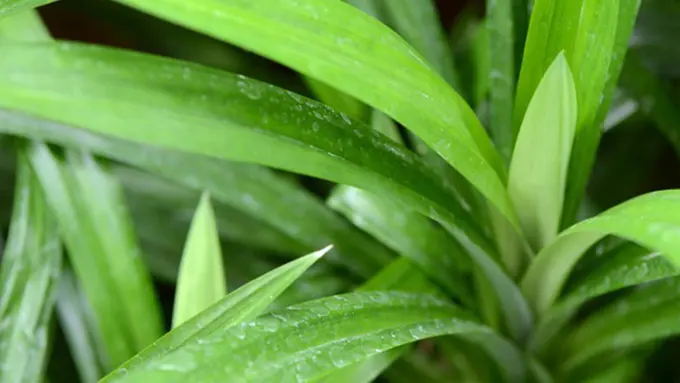 copyright by thinkstockphotos.com