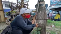 Penampakan sebuah patok kayu di Jatibarang Kabupaten Indramayu pemberian Presiden Soekarno. Foto (Ist)