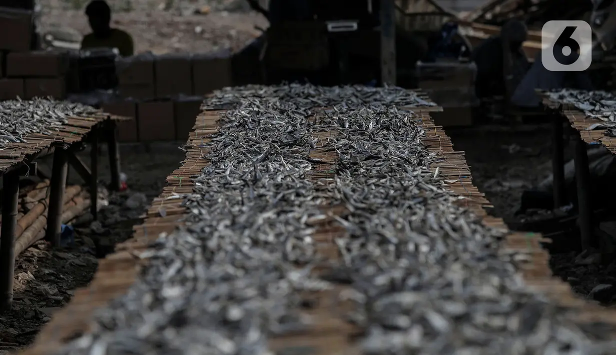 Ikan asin saat dijemur di kawasan Kampung Nelayan Muara Angke, Penjaringan, Jakarta Utara, Selasa (29/9/2020). Menurut nelayan, penjualan ikan asin saat pandemi COVID-19 tidak terlalu terpengaruh karena ikan merupakan bahan makanan yang diperlukan banyak warga. (Liputan6.com/Johan Tallo)