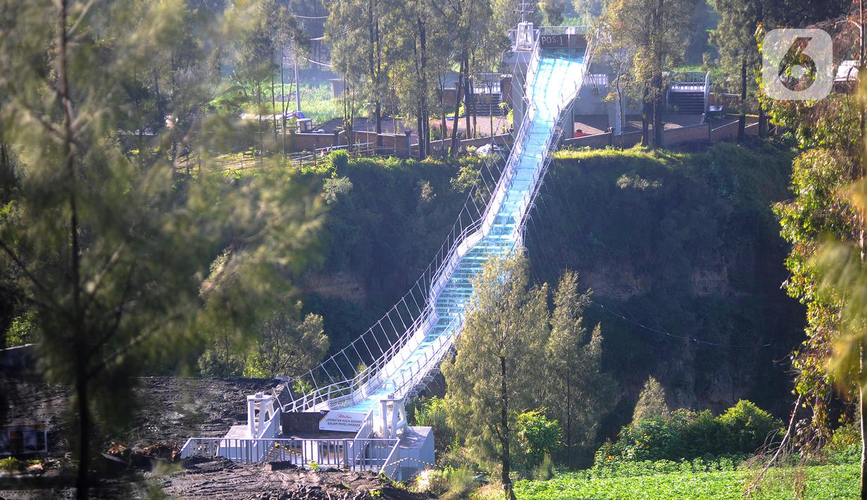 Pekerja menyelesaikan finishing jembatan kaca Seruni Point di Pasuruan, Jawa Timur, Minggu (30/4/2023). Jembatan kaca yang membentang sepanjang 120 meter dengan lebar 1,8 meter di atas jurang dengan kedalaman 80-100 meter ini diperkirakan dapat digunakan wisatawan pada Oktober nanti. (merdeka.com/Arie Basuki)