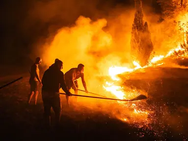 Warga setempat dan petugas pemadam kebakaran berjuang memadamkan kebakaran hutan di Deliblatska Pescara (Deliblato Sands), dekat desa Dubovac, sekitar 70 kilometer di timur laut Beograd, Serbia, Minggu, 9 Agustus 2026. (AFP/  Uros Arsic )