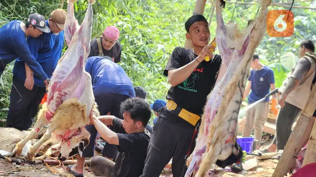Pemotongan Daging Kurban di Hari Raya Idul Adha 2025 (Foto: Aditya Eka Prawira/Liputan6.com)
