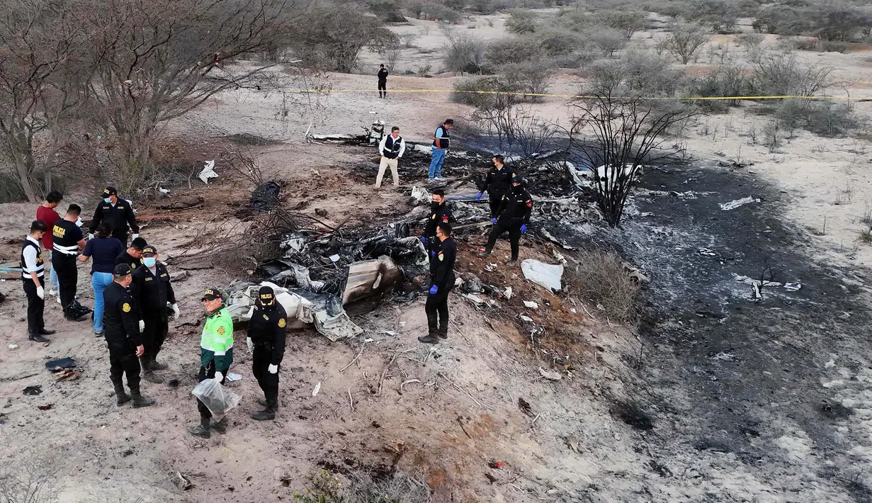 Polisi memeriksa puing-puing pesawat yang jatuh saat penerbangan wisata yang membawa turis di atas Garis Nazca di Peru, Sabtu, 1 Agustus 2026. (Foto AP/Genry Bautista)