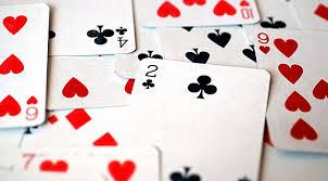 Olahraga Bridge (Istimewa)