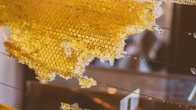 Ilustrasi madu - Royal jelly